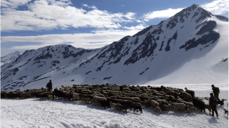 Europe's Last Nomads - PIK Film